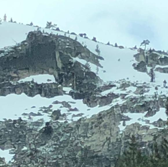 Meet your Posher, Manoucheka - Picture 1 of 1